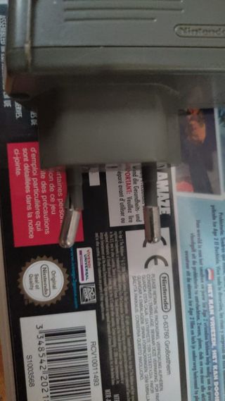 Nintendo Ds funzionante 