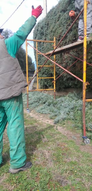 Realizamos trabajos de jardinería en general....!!