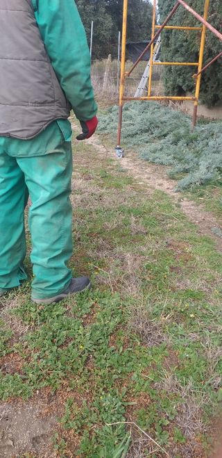 Realizamos trabajos de jardinería en general....!!