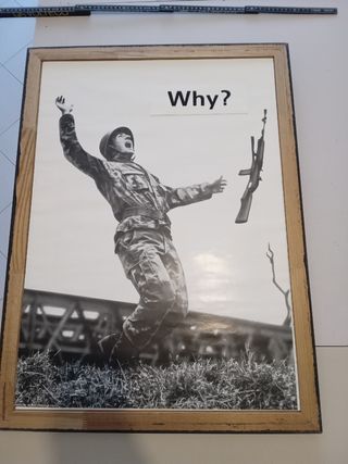 Poster WHY? 