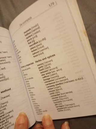 Libro guía de conversación y diccionario