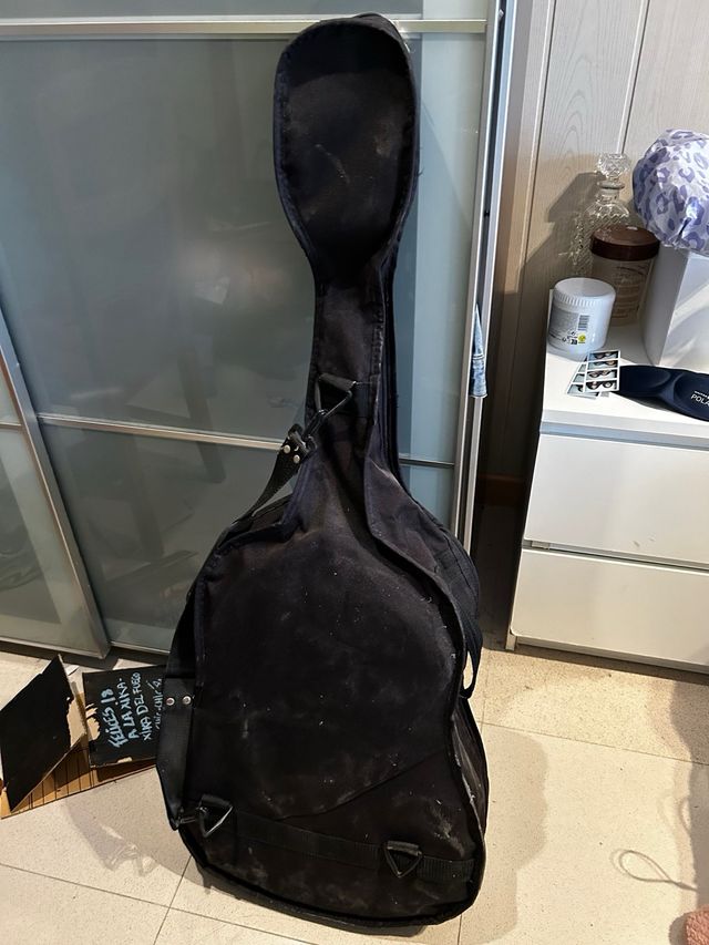 Guitarra admira paloma