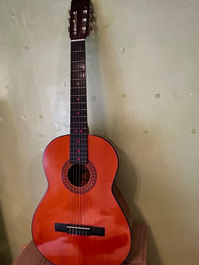 Guitarra admira paloma