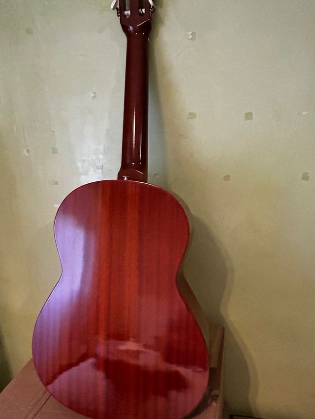 Guitarra admira paloma