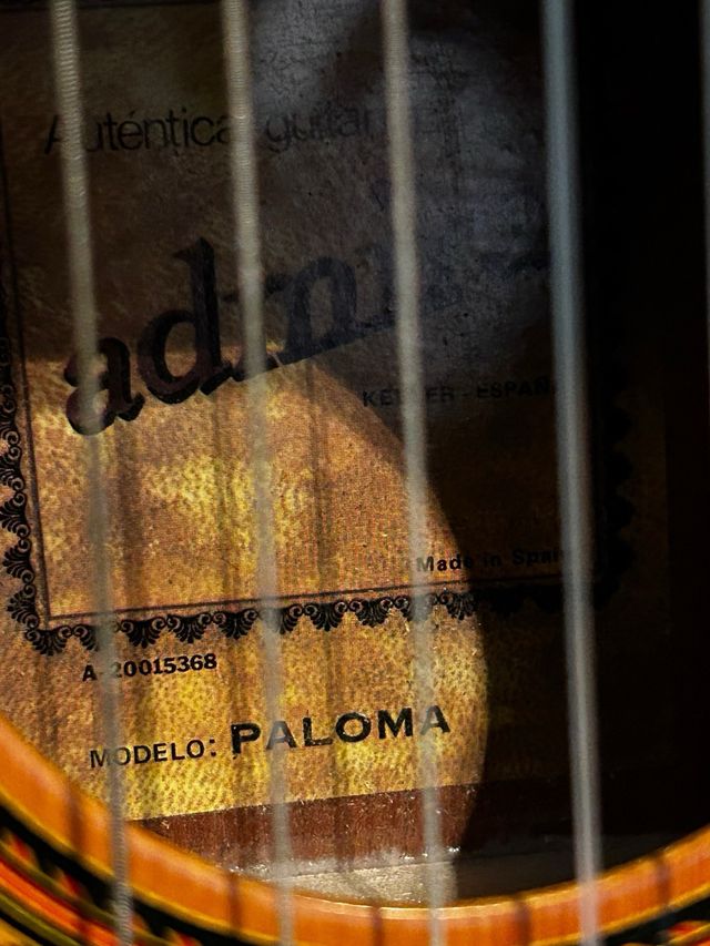 Guitarra admira paloma