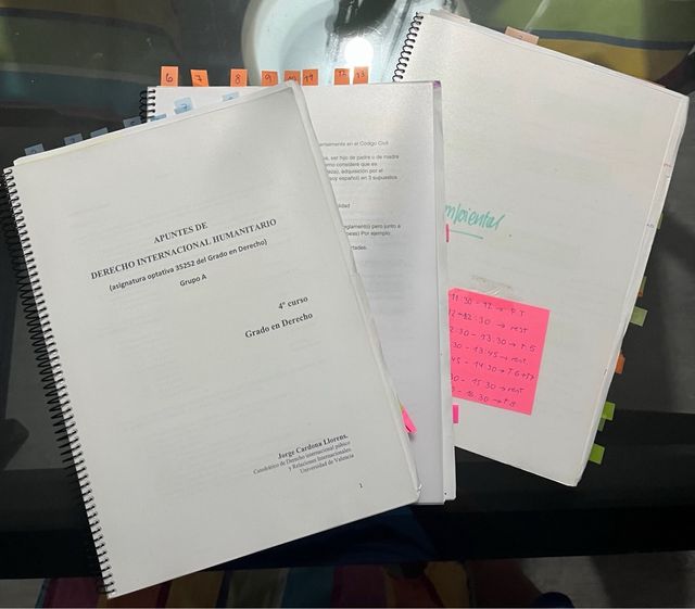 Apuntes Bloque Optativo Derecho Internacional
