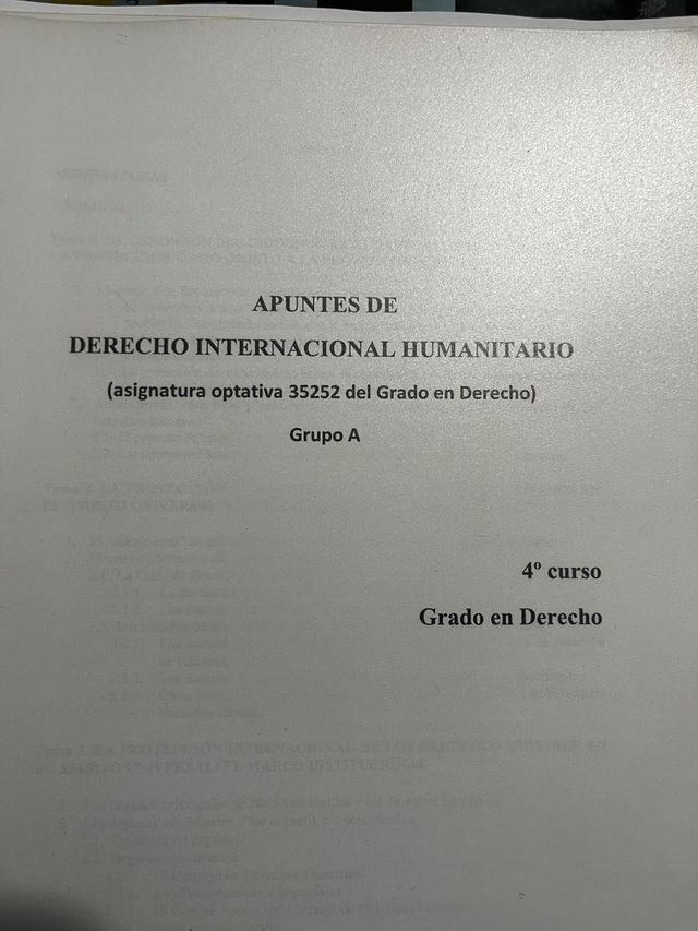 Apuntes Bloque Optativo Derecho Internacional
