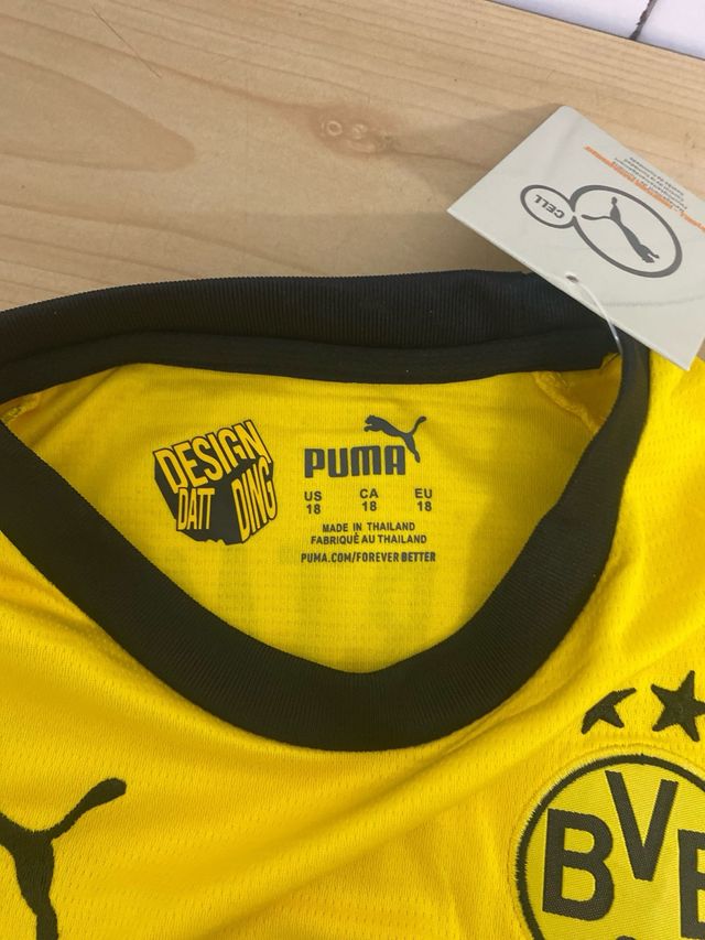 Borussia Dortmund 23/24 18M