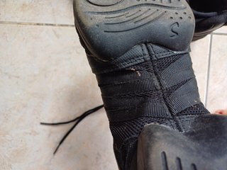 Zapato baile