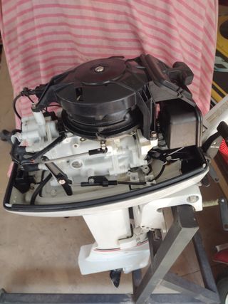 Motor fueraborda Johnson 8cv 2T