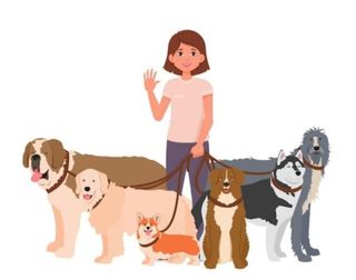 Paseadora de Perros