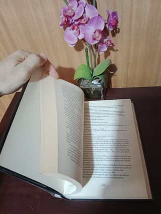 Rosa. Novela políciaca Jonathan Rabb