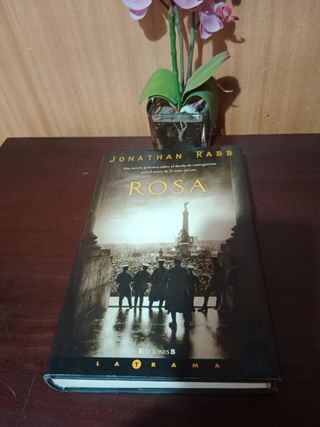 Rosa. Novela políciaca Jonathan Rabb