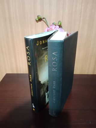 Rosa. Novela políciaca Jonathan Rabb