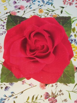 N. 3 tovagliette in plastica quadrate 