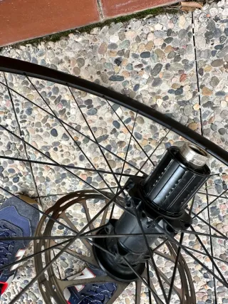 Rueda trasera carretera Fulcrum Racing 5 DB