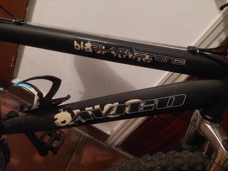 Bicicleta Juvenil