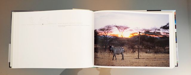 Planeta fútbol. A. Calleja, R. Chisleanschi.