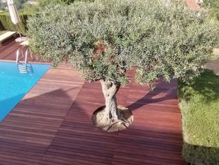 Tarima Exterior Ipe 29,99€ C/M2