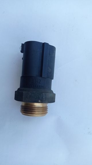 Sensor Radiador Seat Ibiza 6L