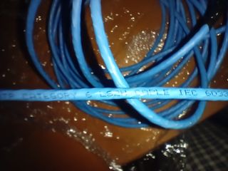 Cavo ethernet U/UTP categoria 6 di 8m