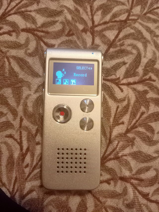 Grabadora de voz digital