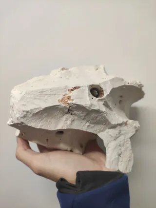 Roca acuario Wio, rocalla, cíclicos.