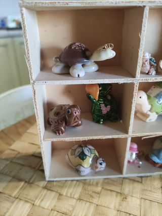 Collezione mini tartarughe