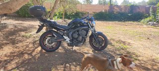 Fz6 N S2