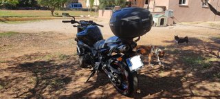 Fz6 N S2