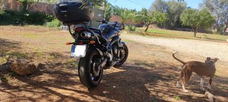Fz6 N S2