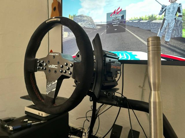 Cambio simracing leva tipo  wrc rally