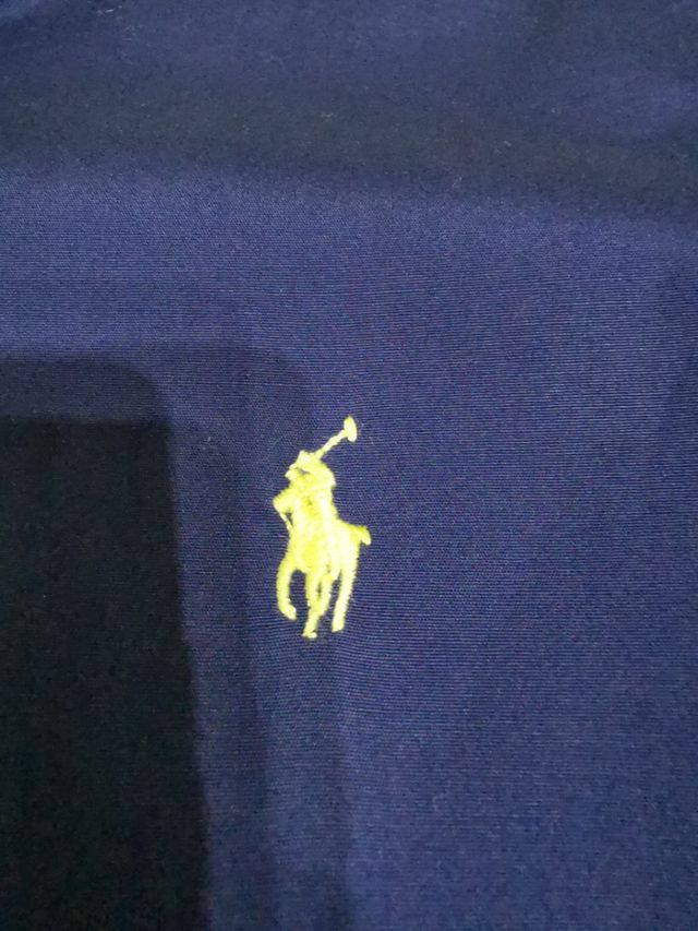 Camisa Ralph Lauren azul.