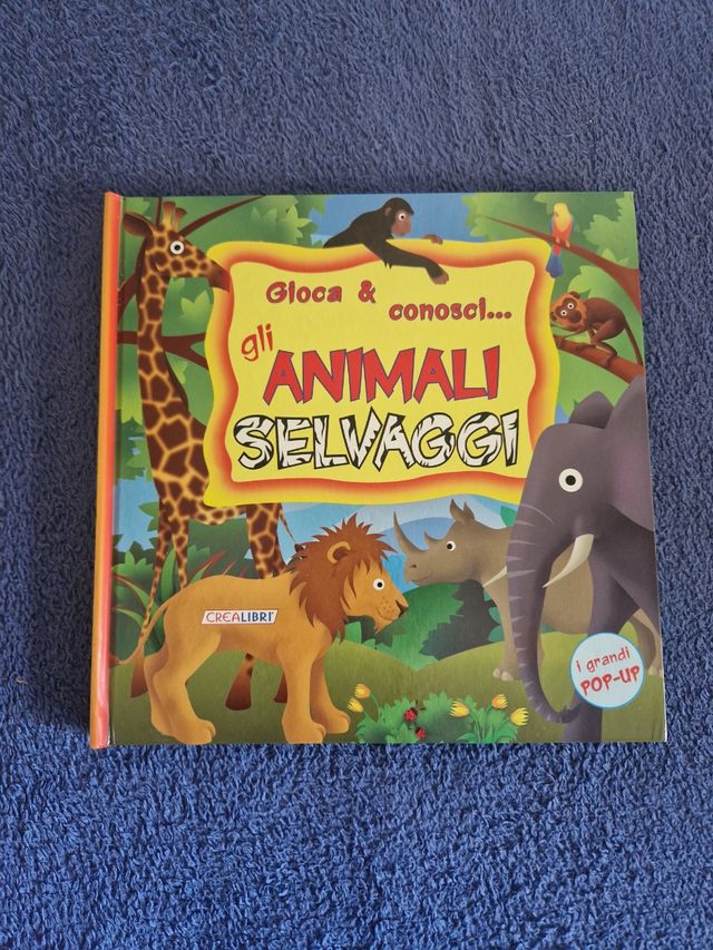 Libro pop up