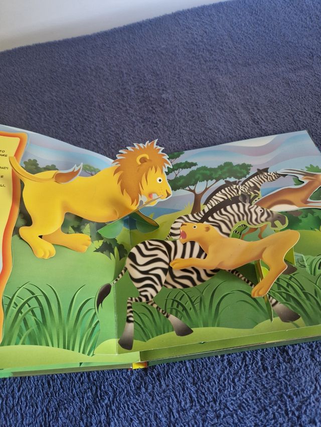 Libro pop up