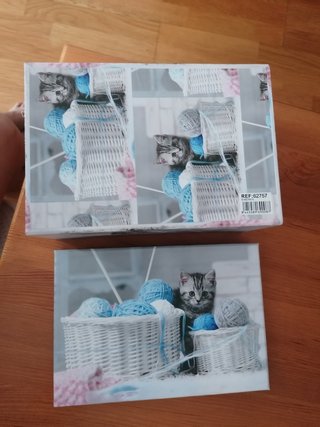 Cajas cartón y madera gatos