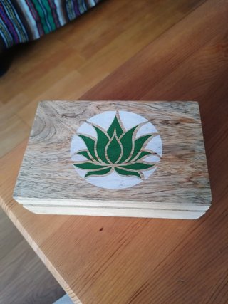 Cajas cartón y madera gatos