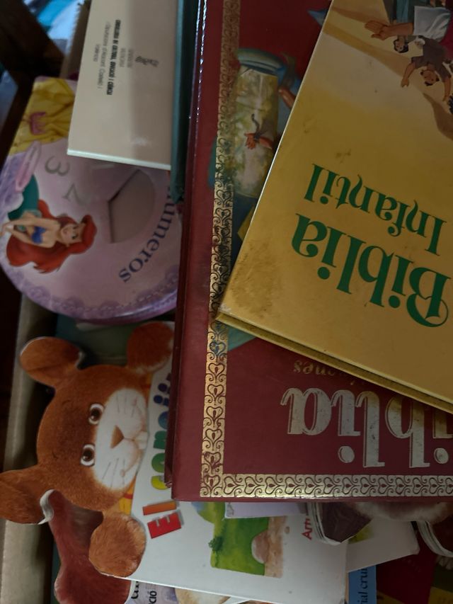 Lote libros infantiles y cuentos(todos)