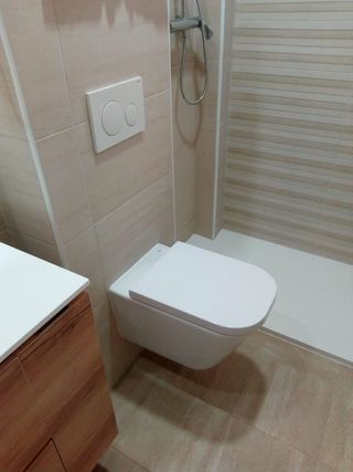 Paleta  , albañil de construcción y reformas 