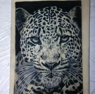 Tatuajes, tattoo, tatuador