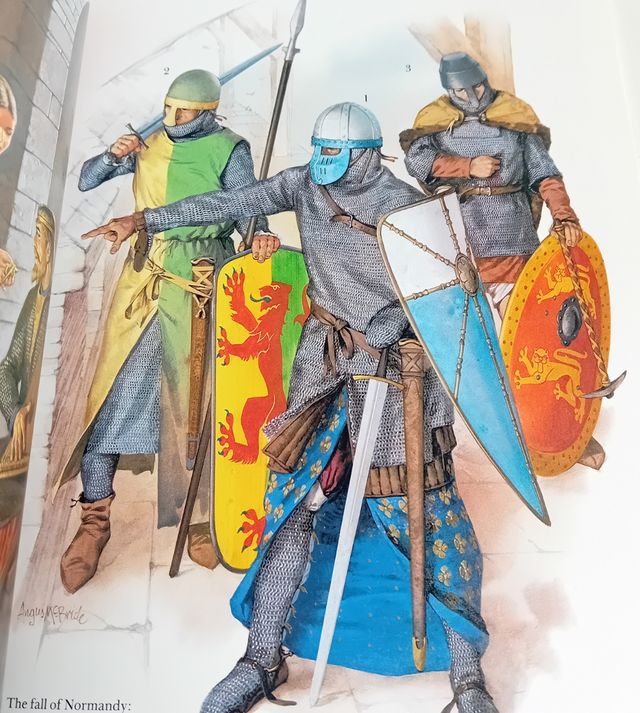 Libro: I Normanni il falco pescatore samurai