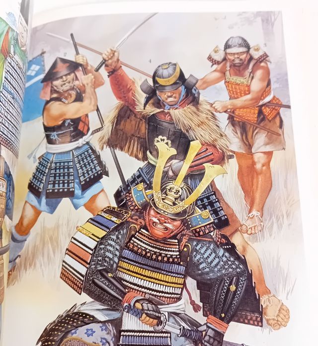 Libro: I Normanni il falco pescatore samurai