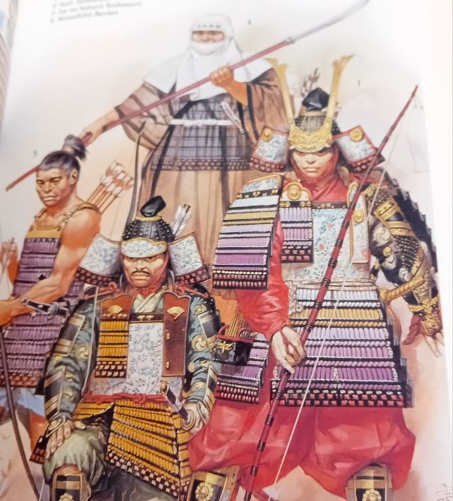 Libro: I Normanni il falco pescatore samurai