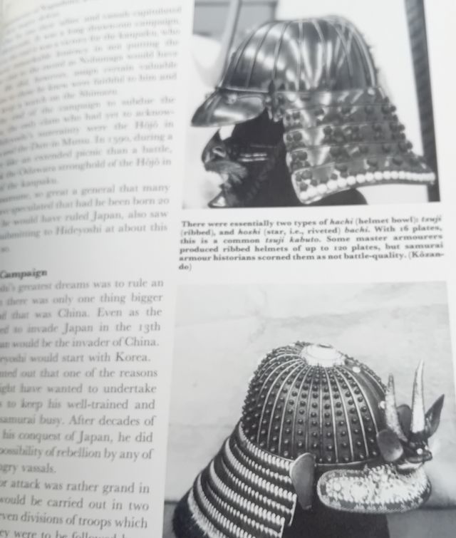 Libro: I Normanni il falco pescatore samurai