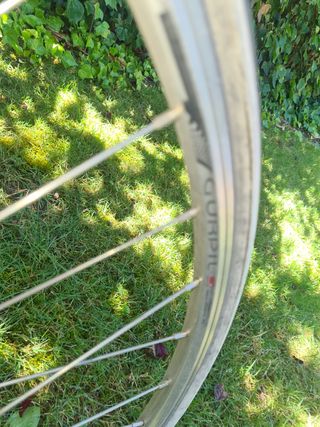 Derby rabasa bicicleta carretera