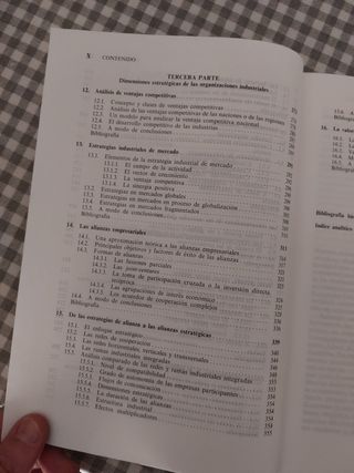 Economía y Organización Industrial