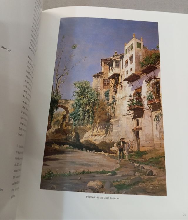 Libro "Granada al natural"