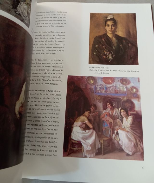 Libro "Granada al natural"