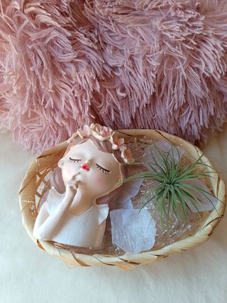 Tillandsia en maceta de mujer