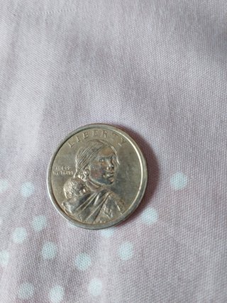 Moneda 1 dólar Nativa Americana